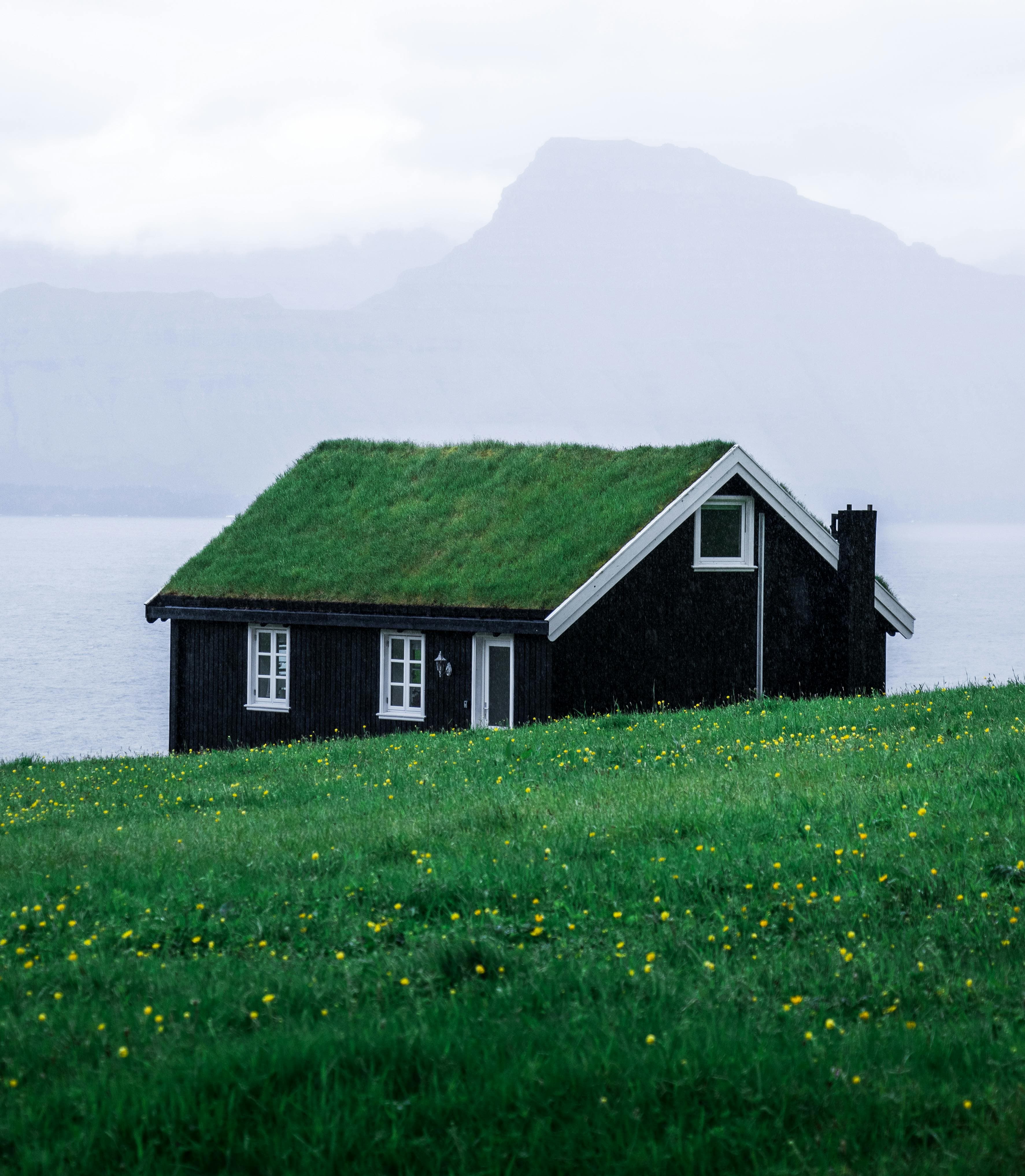 Large family home